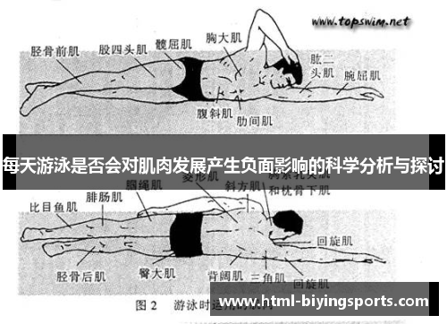 每天游泳是否会对肌肉发展产生负面影响的科学分析与探讨