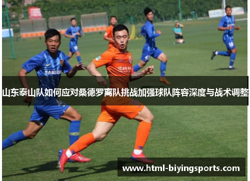 山东泰山队如何应对桑德罗离队挑战加强球队阵容深度与战术调整