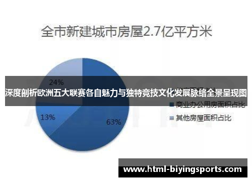 深度剖析欧洲五大联赛各自魅力与独特竞技文化发展脉络全景呈现图